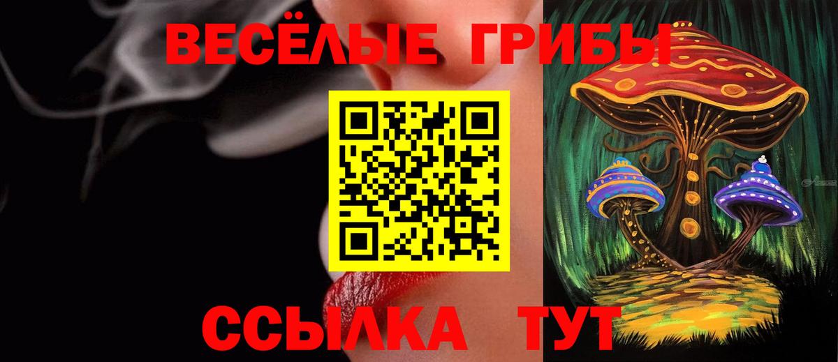 Псилоцибиновые грибы Cubensis Балашиха